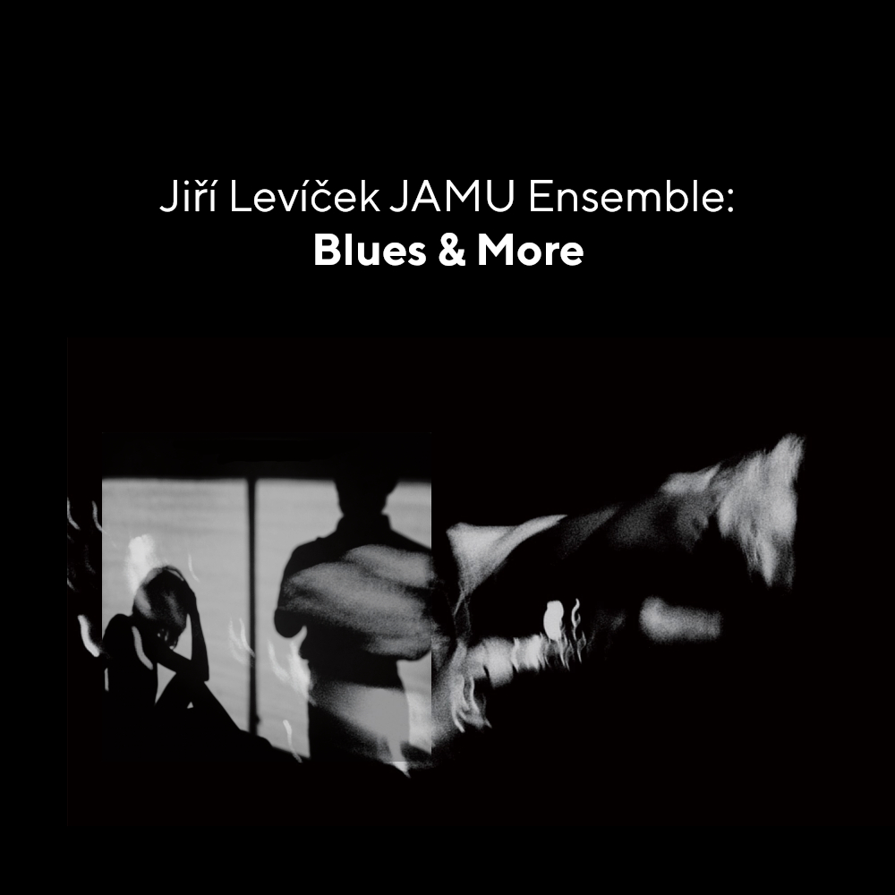 Jiří Levíček JAMU Ensemble: Blues & More