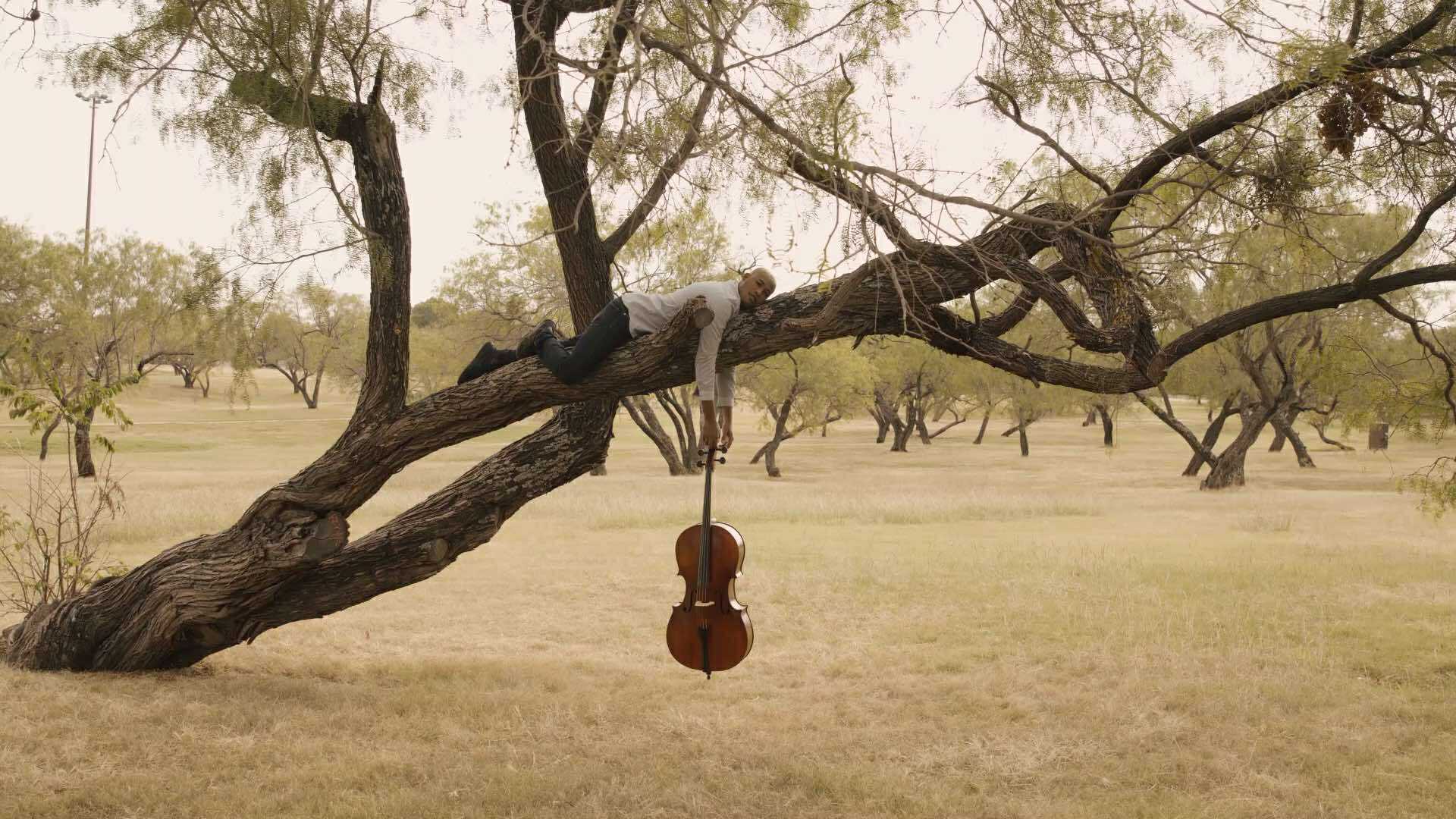 NAJEEB SABOUR (USA)