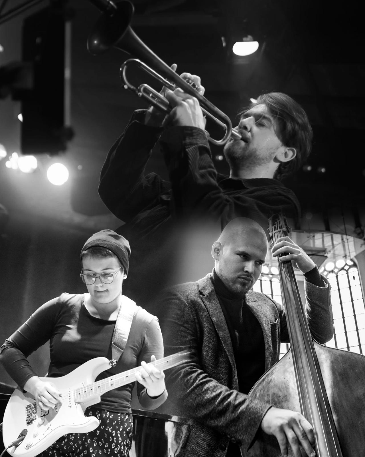 FRANTIŠEK VANÍČEK TRIO